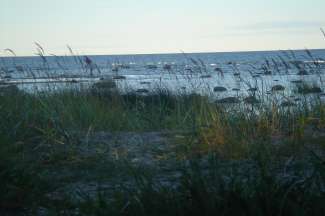 DSC02014.JPG